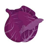 Whole red cabbage isolated on background. Flat vector illustration.