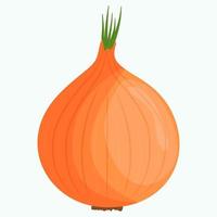 Whole onion isolated on background. Flat vector illustration.