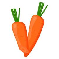 Whole carrot isolated on background. Flat vector illustration