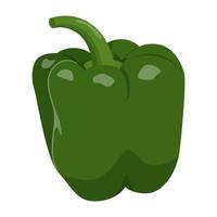 Cute green pepper isolated on white background. Flat vector illustration.