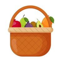 Picnic baskets. Wicker backet with fresh fruits. Pomegranate, pear, fig, kiwi, avocado mango Flat vector illustration