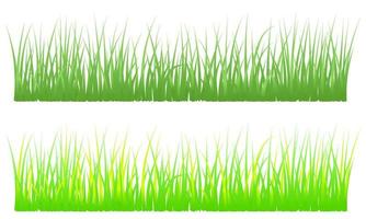 green grass background, grass group editable isolated on white vector