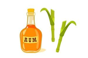 Bottle of rum with sugar cane stems and leaves on white background. vector