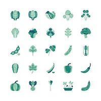 Bundle of Fruit berry vegetable food glyph flat vector set