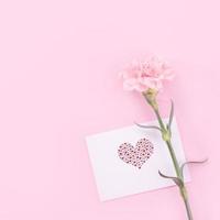 Beautiful, fresh elegant carnation flower bouquet with white greeting thanks gift card isolated on bright pink color background, top view, flat lay concept. photo