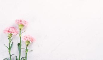 hermosa y elegante flor de clavel rosa sobre fondo de mesa de mármol blanco brillante, concepto de regalo de flores del día de la madre, vista superior, puesta plana, sobrecarga foto