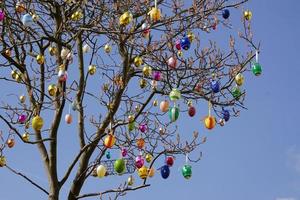 Colorful Easter Eggs On The Tree In The Garden. photo