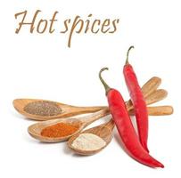 Various of hot spices in wooden spoons photo