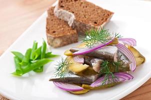 herring salad with pickled cucumbers and onions photo