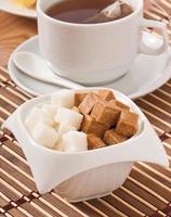 Close-up of cubes of brown and white sugar photo