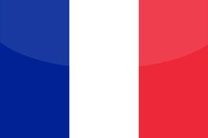 bandera nacional de francia vector