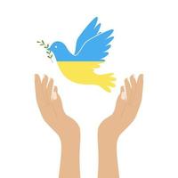 Raised human hands releasing a dove, a symbol of peace. A flying bird of peace in the colors of the blue and yellow Ukrainian flag. Color illustration in a flat style isolated on a white background vector