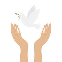 Raised human hands releasing a white dove, a symbol of peace. A flying bird of peace. Color illustration in a flat style isolated on a white background