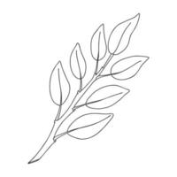 A sprig of plants with leaves on the stem. Botanical decorative element. Simple black and white vector illustration drawn by hand, isolated on a white background.