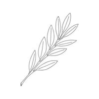 A sprig of plants with leaves on the stem. Botanical decorative element. Simple black and white vector illustration drawn by hand, isolated on a white background.