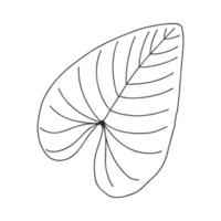 An ordinary leaf of a plant. Botanical decorative element for the design of articles, magazines, recipes and menus. Simple black white vector illustration, hand drawn, isolated on a white background.