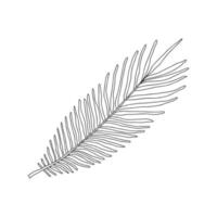 Palm leaf is a tropical plant with narrow leaves. Botanical design element for the design of magazines, articles and brochures. Simple black-white vector illustration. Hand-drawn, isolated on white.