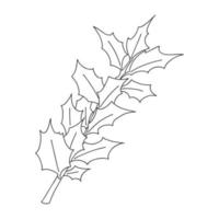 Holly branch with leaves. Botanical design element for magazines, articles and brochures, menus and recipes. Simple black and white vector illustration drawn by hand, isolated on a white background.