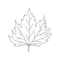 Maple leaf. Botanical decorative element. Symbol of autumn. Simple black and white vector illustration, hand drawn, isolated on a white background.