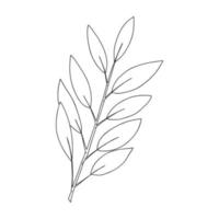 A sprig of plants with leaves on the stem. Botanical decorative element. Simple black and white vector illustration drawn by hand, isolated on a white background.