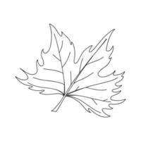 Maple leaf. Botanical decorative element. Symbol of autumn. Simple black and white vector illustration, hand drawn, isolated on a white background.