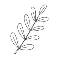 A sprig of plants with leaves on the stem. Botanical decorative element. Simple black and white vector illustration drawn by hand, isolated on a white background.