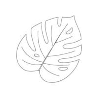 lista de monstera. elemento decorativo botánico. planta tropical simple ilustración vectorial en blanco y negro, dibujada a mano, aislada en un fondo blanco. vector