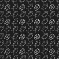 Seamless vector pattern with fish. Doodle vector with fish icons on black background. Vintage fish pattern