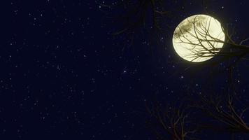 pieno Luna con un' lunare sentiero riflessa nel il specchio di il mare.  12658777 Stock Photo su Vecteezy