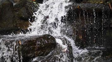 una grande cascata di simulazione costruita per decorare il giardino. rocce costruite con cemento imitano rocce e alberi e c'è una cascata simulata video