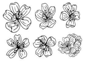 conjunto de gráficos vectoriales de flores de sakura dibujadas a mano. hermosos elementos de diseño floral, dibujo a tinta, líneas elegantes. vector