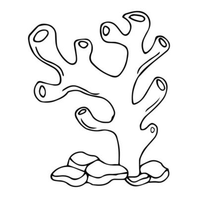 corals clipart black and white