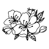 Sketch of spring flowers of quince, almond, apple tree branches with buds and flowers. Hand draw botanical doodle vector illustration in black contrast with white fill.