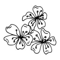 lindo conjunto de ramas de sakura aislado dibujado a mano. ilustración de vector floral en contorno negro y plano blanco aislado sobre fondo blanco.