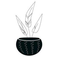 plant abstract in a pot, black and white doodle drawing vector