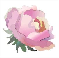 blossom peony flowers isolated on white background vector