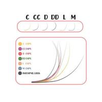 Eyelash extension. False eyelash curl options. Eyelash curl types B, C, D,DD, CC, l, M vector