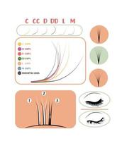 Eyelash extension training poster. Tips and tricks for eyelash extensions. eyelash extension information Correct and incorrect fastening. vector