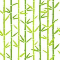 patrón de hierba de bambú verde. fondo de vector dibujado a mano de planta china oriental