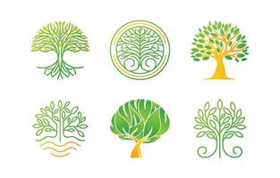 Tree Logo Collection Set Template vector