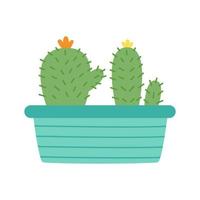Vector illustration of cactus on pot isolated on white background.