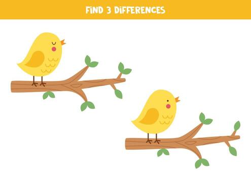 Find 3 differences between two birds on branch. vector