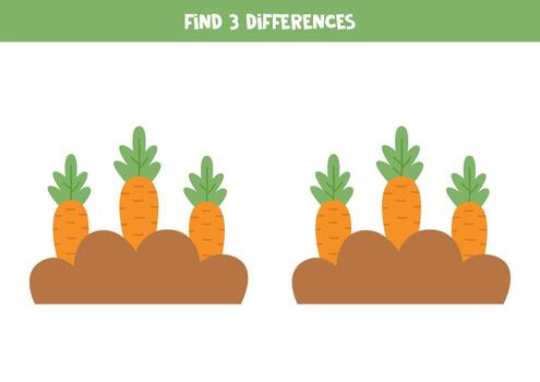 Find three differences between two pictures of carrot bed. vector