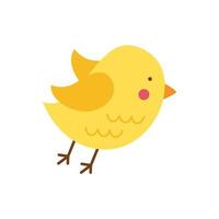 Vector illustration of cute bird isolated on white background.