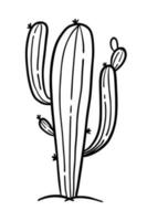 Cactus hand-drawn in the style of doodle Good for printing Symbol of the Western concept Isolated vector illustration