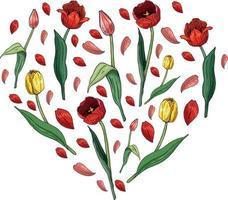 Heart made of tulips and tulip petals. Template with floral romantic elements for season spring design vector