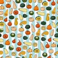 Seamless pattern with different hand drawn squashes on light blue and white striped background. Endless texture with various pumpkins for your design vector