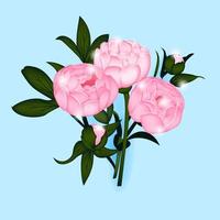 peonía rosa sobre fondo azul, ramo de peonías de estilo realista, impresión, impresión, postal, ilustración floral vectorial, vector