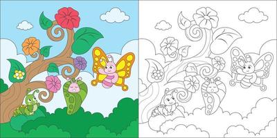 coloring butterfly life cycle vector