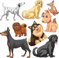 Cute animals cartoon set on white background vector